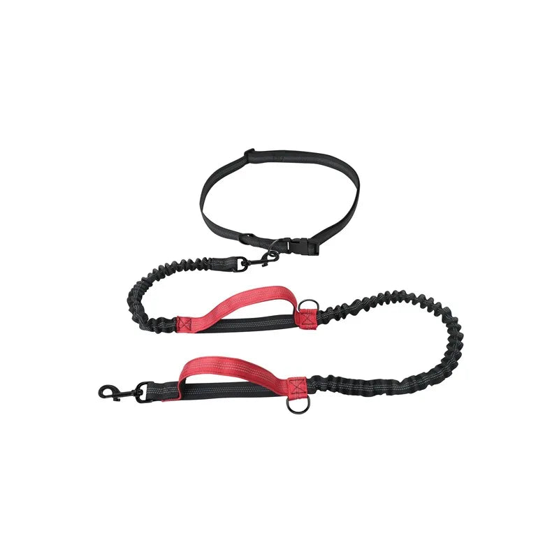 Hands Free Retractable Dog Leash for Running and Walking