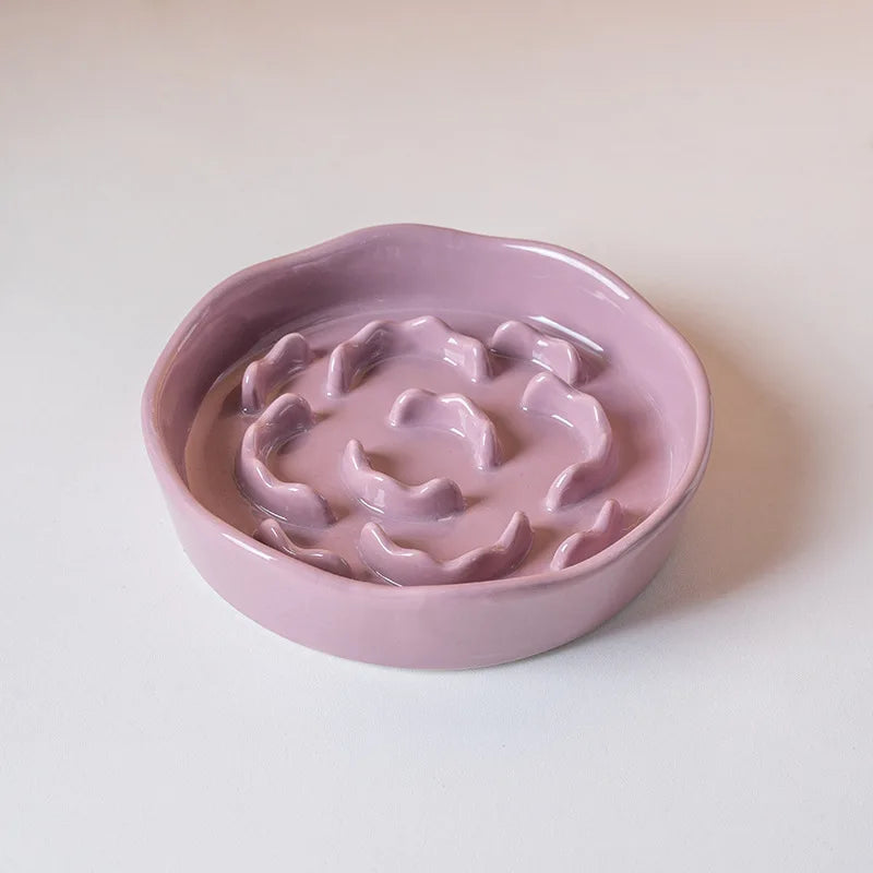 Ceramic Elevated Slow Feeder Bowl for Cats and Dogs