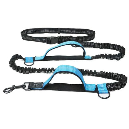 Hands Free Retractable Dog Leash for Running and Walking