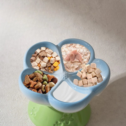 Elevated Ceramic Slow Feeder Bowl for Cats and Dogs