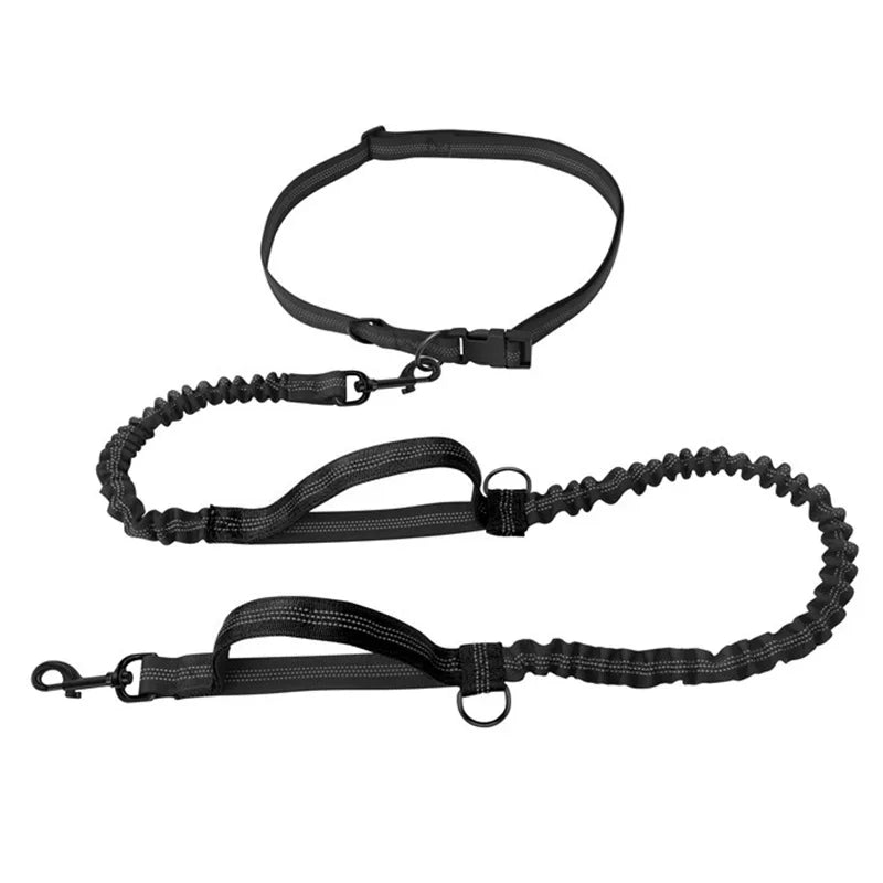 Hands Free Retractable Dog Leash for Running and Walking