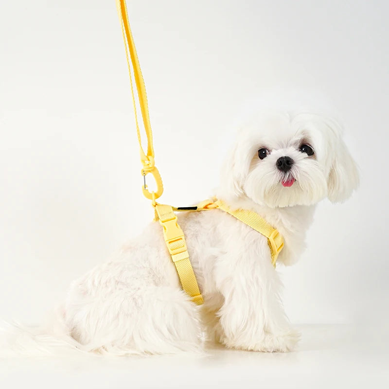 Adjustable Reflective Dog Harness Collar Leash Set