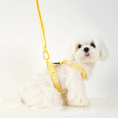 Adjustable Reflective Dog Harness Collar Leash Set