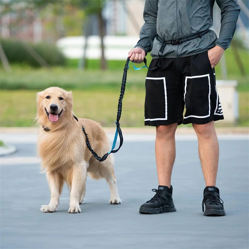 Hands Free Retractable Dog Leash for Running and Walking