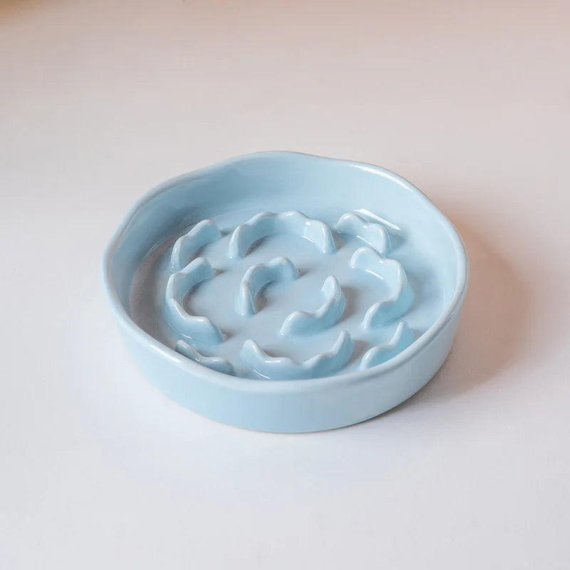 Ceramic Elevated Slow Feeder Bowl for Cats and Dogs