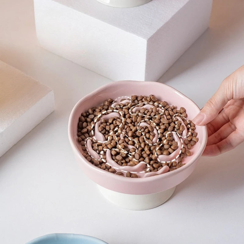 Ceramic Elevated Slow Feeder Bowl for Cats and Dogs