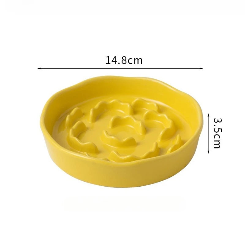 Ceramic Elevated Slow Feeder Bowl for Cats and Dogs