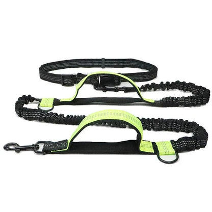 Hands Free Retractable Dog Leash for Running and Walking