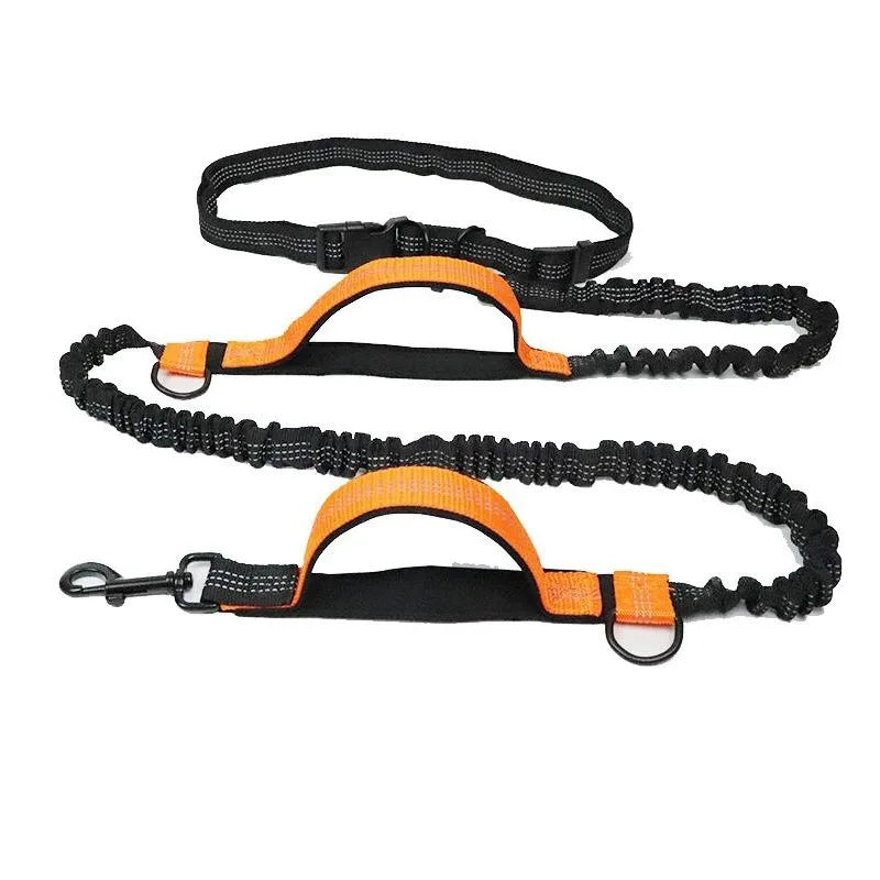 Hands Free Retractable Dog Leash for Running and Walking