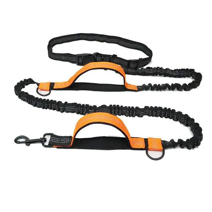 Hands Free Retractable Dog Leash for Running and Walking