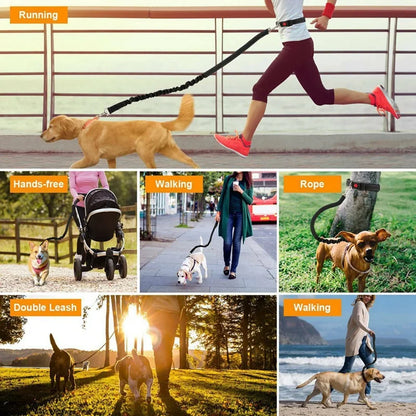 Hands Free Retractable Dog Leash for Running and Walking